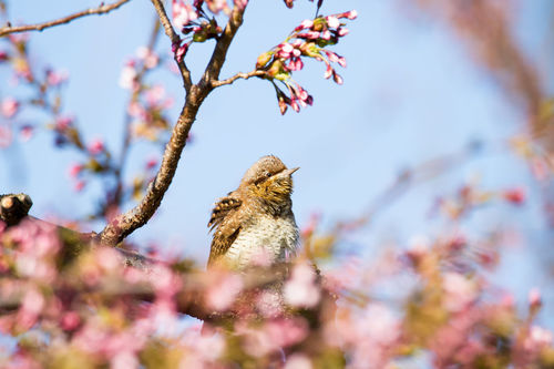 08_08_04№(041)-Edit-Edit_s.jpg