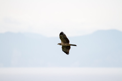 09_09_02№(031)-Edit_s.jpg