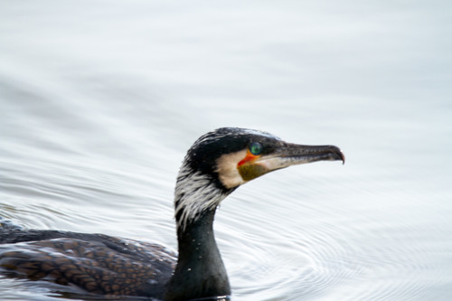 09_46_20№(022)-Edit_s.jpg